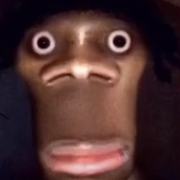 Meet your Posher, Dev - Picture 1 of 1